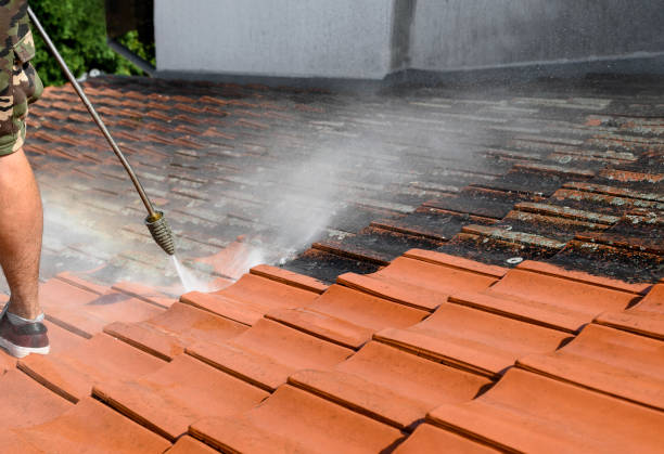 Best Residential Pressure Washing Services  in Buffalo, TX